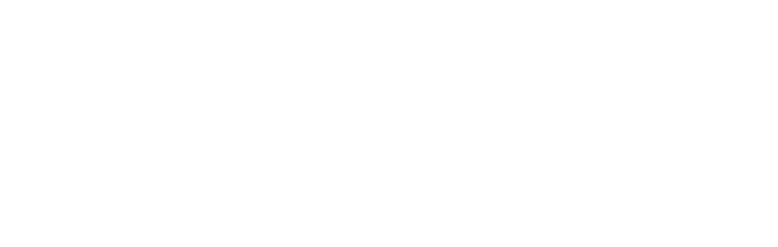 Professional Spares
